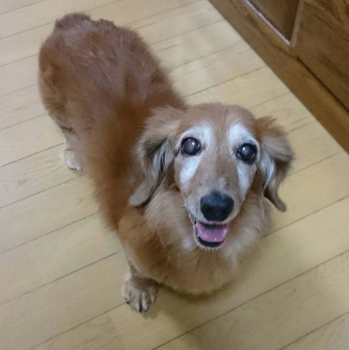 Eca59afc 910b 4a90 b3d9 374960c7571c