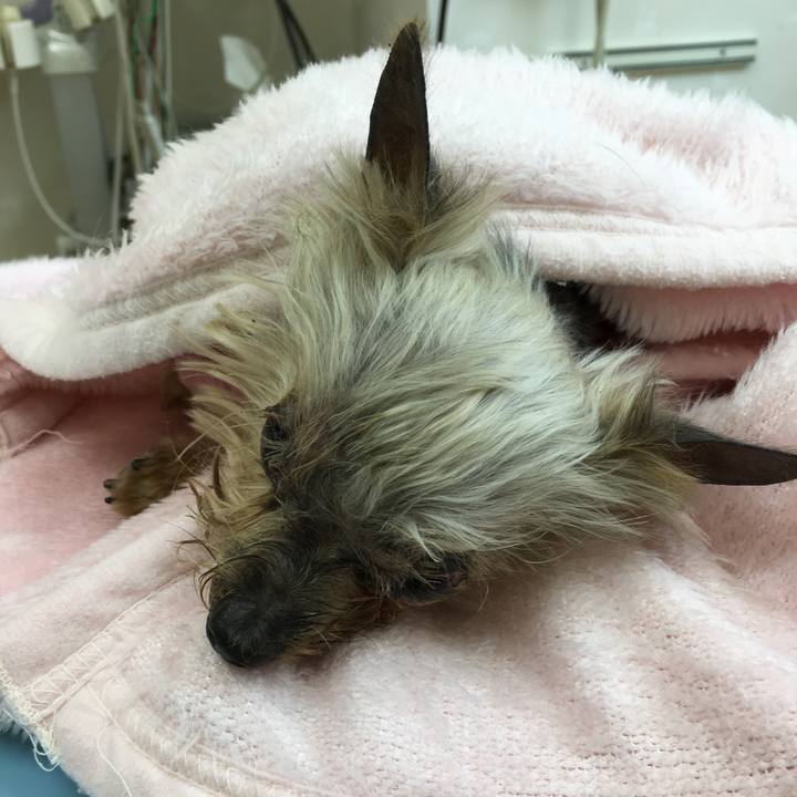 Eca5b4c0 9090 49c2 9e26 e8e9a99c6400