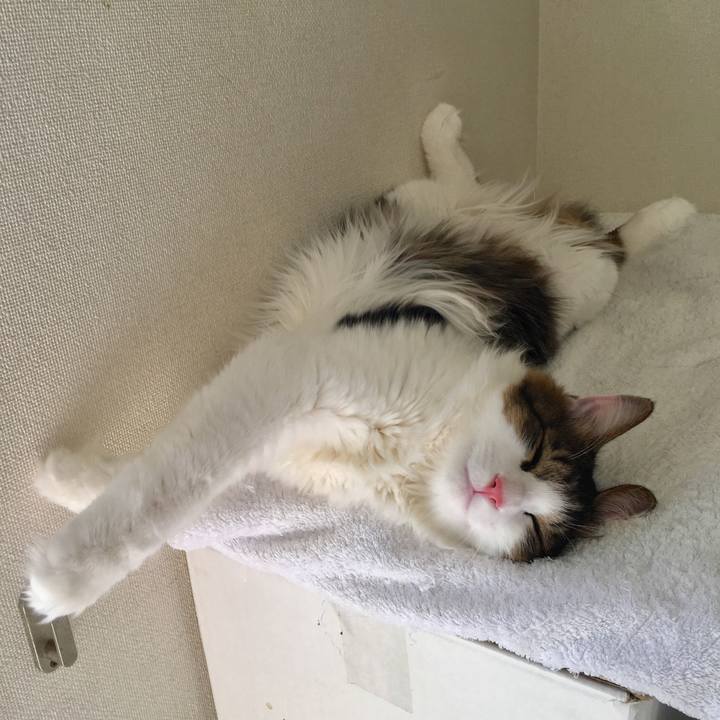 Eca6a6db ca5f 4b9f 8fe3 895a9ce21e61