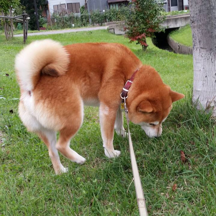 Eca86fc2 bf8f 4bc1 8a2a e7b75e687eae