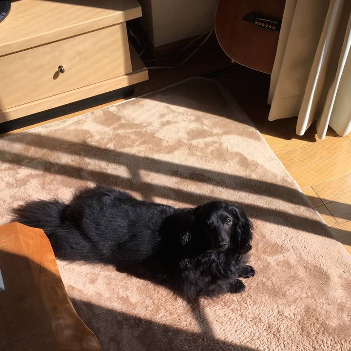 Eca908e5 c179 4508 914f 22236b278f7a