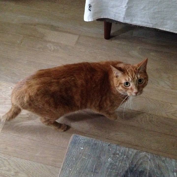 Eca9272d 3aa6 4126 a68d 2c6addc3b17b