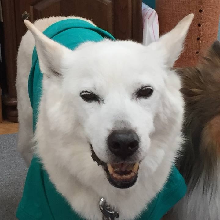 Eca95824 df91 4ab5 9324 c52d1293e796