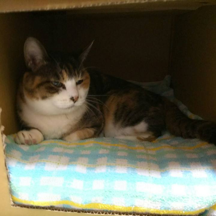 Eca9a07c 01c9 47f3 8ac3 934c8f0595b9