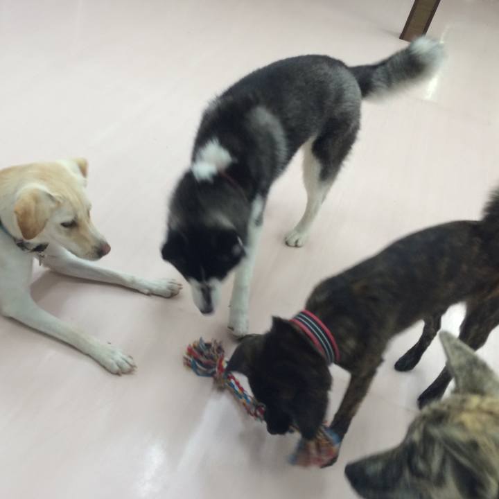 Ecaa2d2a 2314 4fc7 a57c d8fa68824042