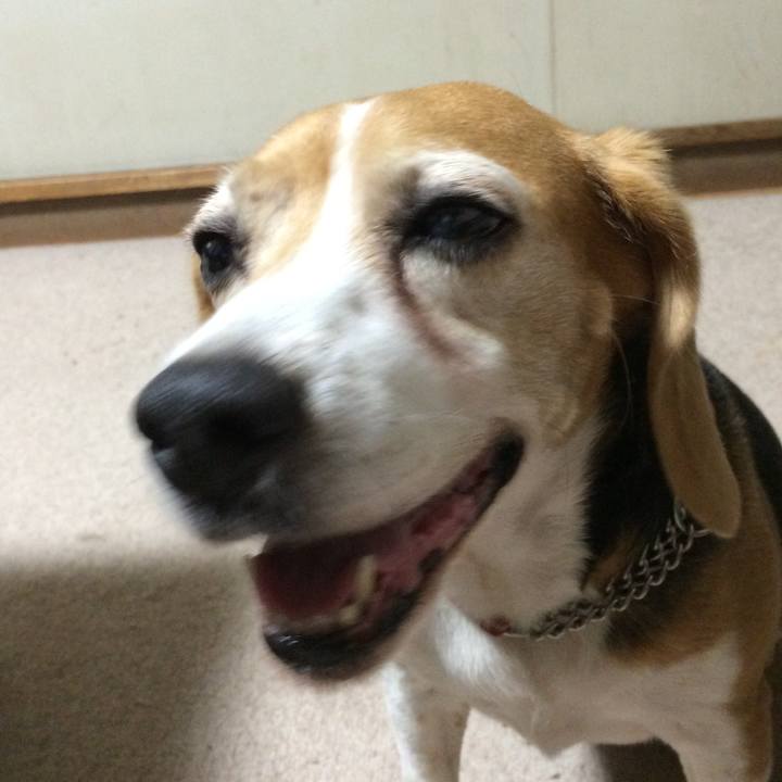 Ecaa5b9e 6c81 41dc 9952 875d1f4b73aa