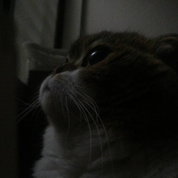 Ecaa79f7 cc99 4de9 9651 2d6b04ad10e0