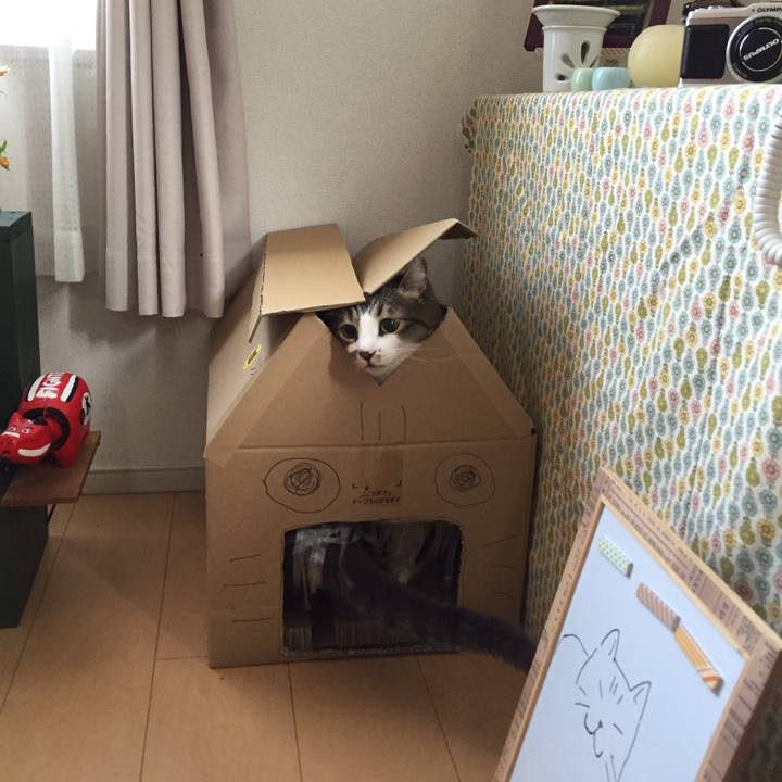 Ecaaf77d 4dfc 43bc b27a 55b35235e7e5