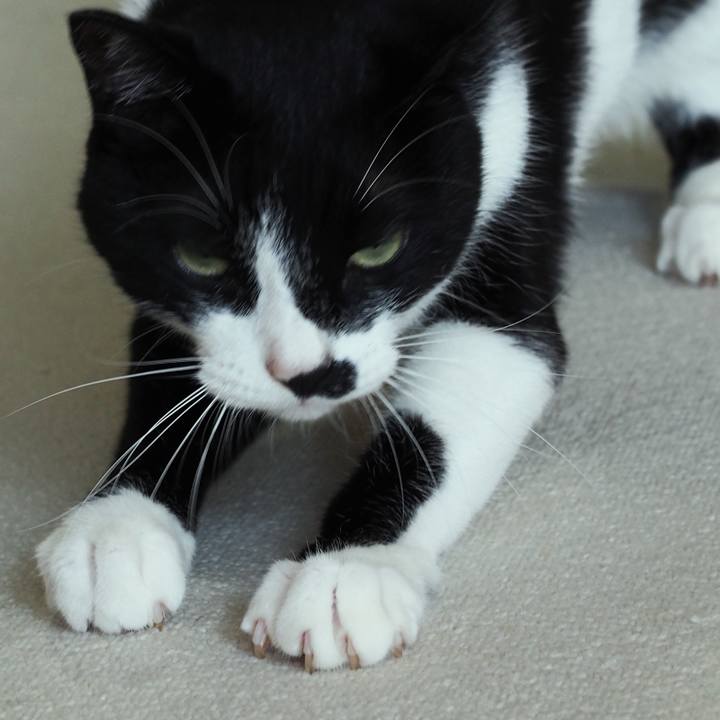 Ecaaf86d 7228 49d2 8a38 f8ee40200bd0