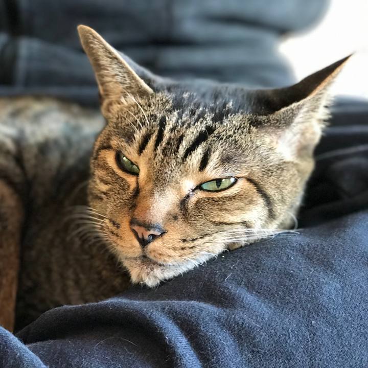 Ecab6a42 edb2 460c 980a 1f3732b865cf