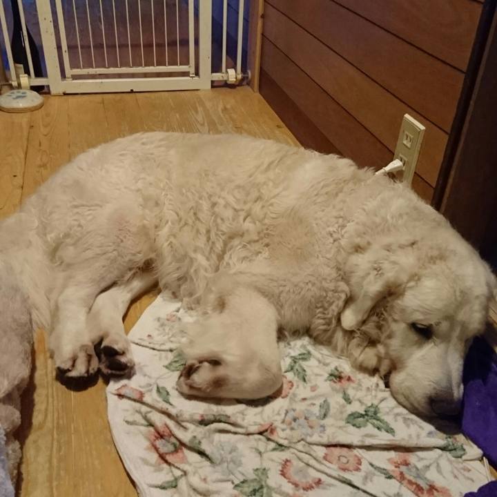 Ecabfbe3 0b18 4ae1 8186 97676b8d9090