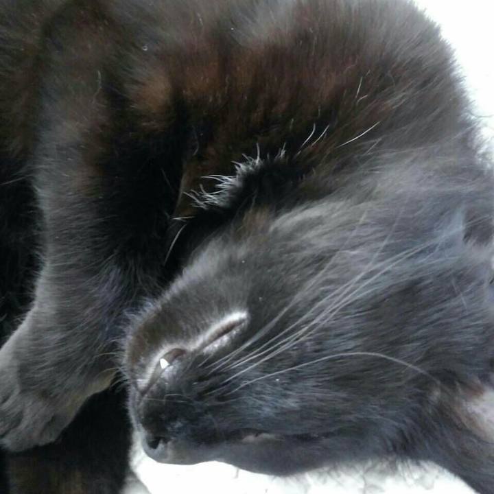 Ecace6fb 99a3 4d88 b31d cf794e159af3