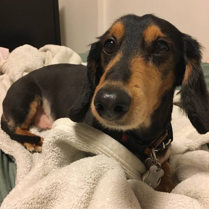 Ecad3bd8 7d6a 420b 8ad4 734832124073