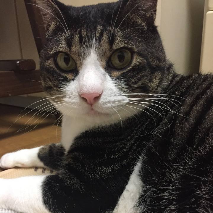 Ecad7fd0 8521 4751 a8f7 44568c8a0448