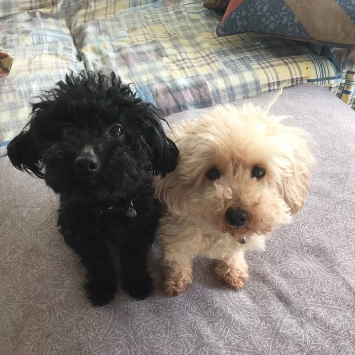 Ecadce3d 4991 43b7 91c9 6e16b07455fa