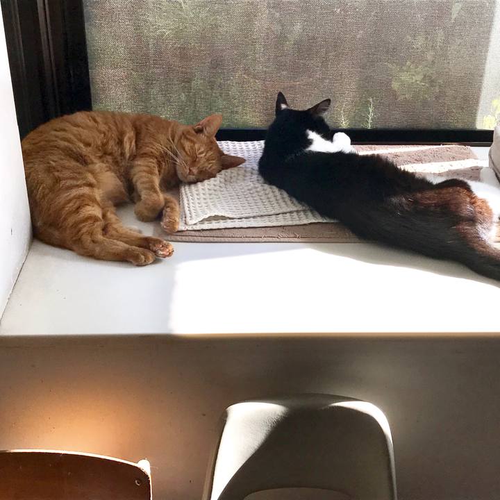 Ecae2734 c8b8 4418 bb78 ab941fbeab2a