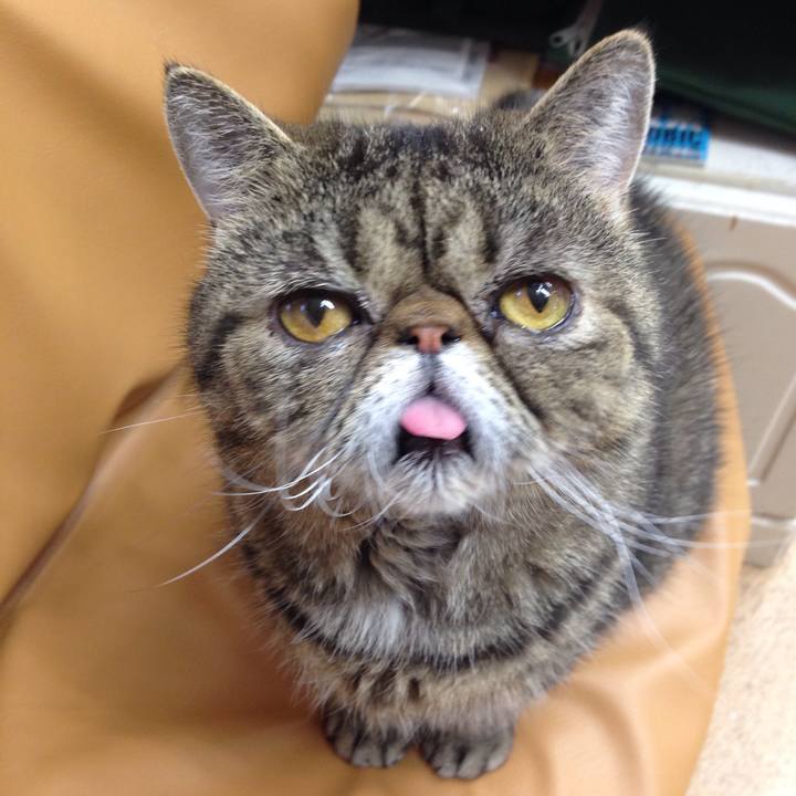 Ecaf175d b9df 44a6 bb08 d749a2d91f95