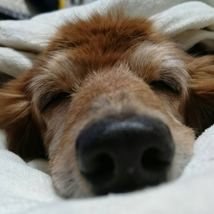 Ecaf90d5 f5e3 46c0 a0a0 20b2996ef8f3