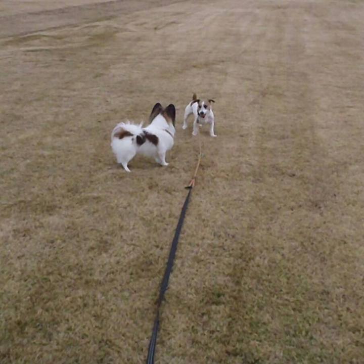 Ecafc199 69b6 451c 99ef a438f780caf2