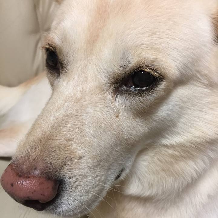 Ecb013c6 dabc 4dd6 97b5 eb04ed4511df