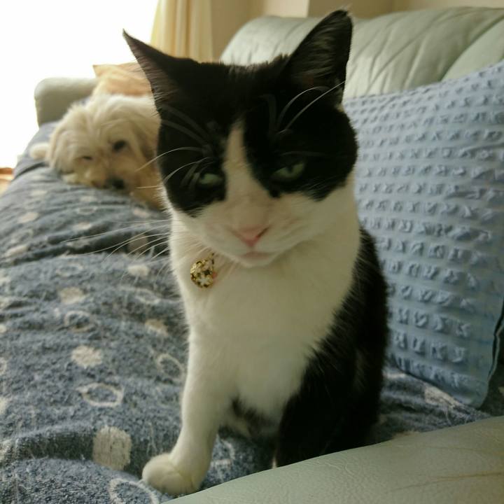 Ecb03e84 c4ad 4688 aefe 7256d0522cc9