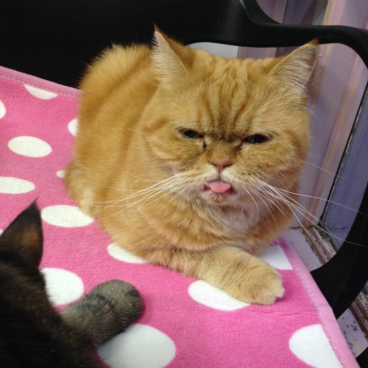 Ecb09596 059b 425e a1d3 255692aca407