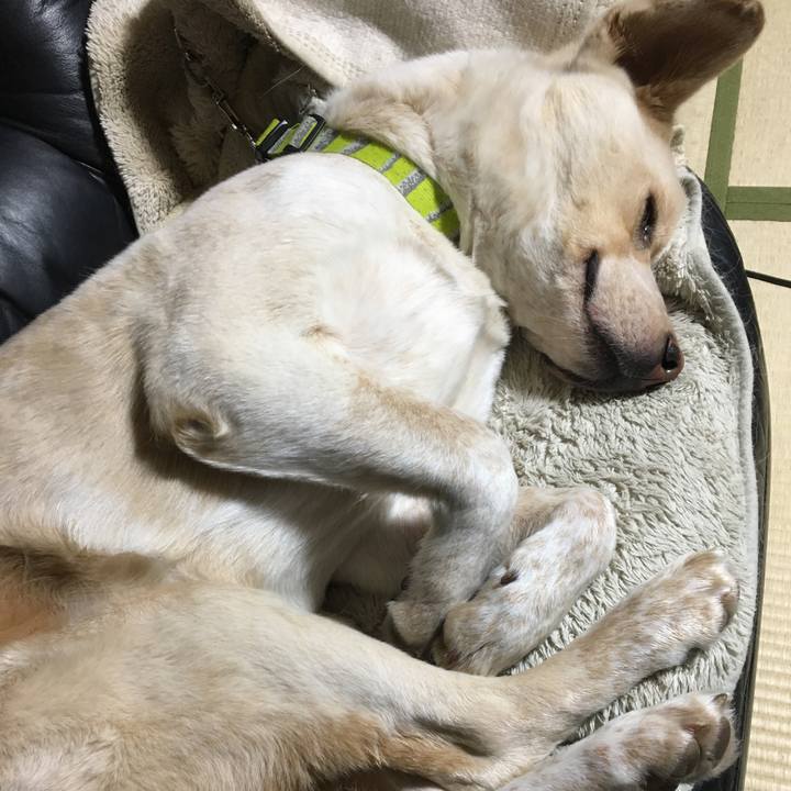 Ecb1ecda ee10 4ea7 85a3 6a743299d901