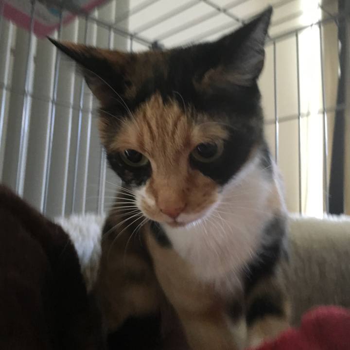 Ecb23c24 2893 4c44 955e d6684e1ab5cd