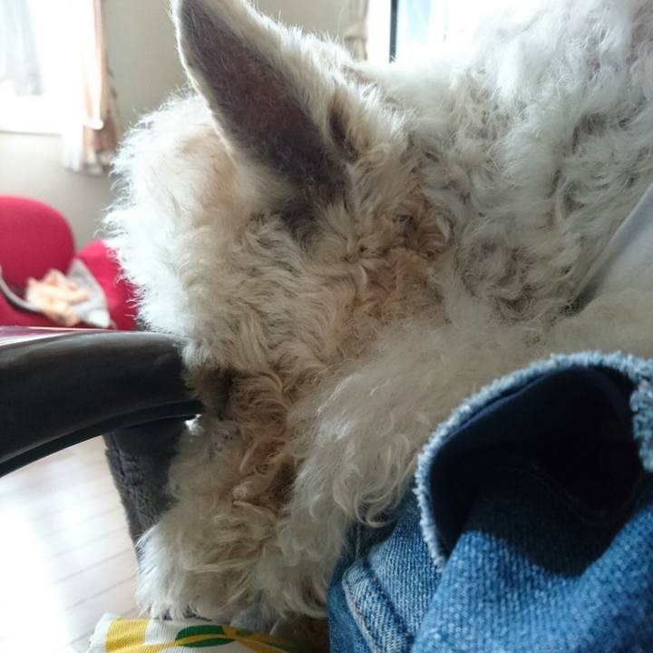 Ecb2b72e 2a92 4e83 beb3 ff436ab77a05