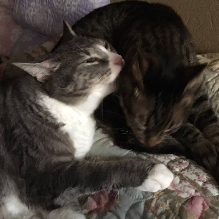 Ecb37c7b b8de 49b1 8cf3 9c8625ab842e