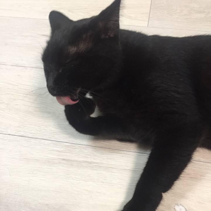 Ecb385c5 5c05 4eb3 9f09 6ba6426440d5