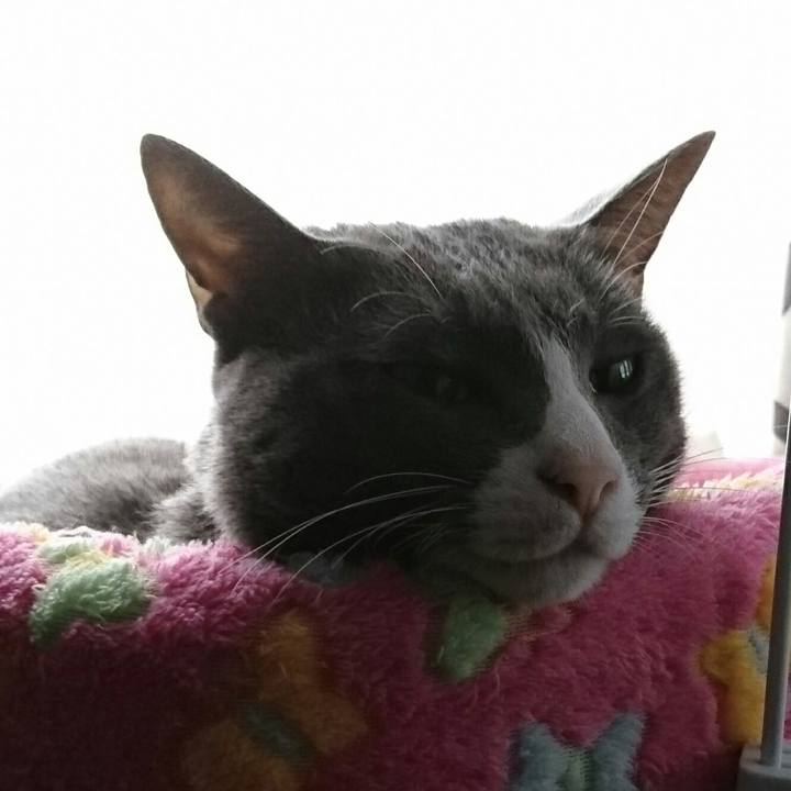 Ecb39a24 ed11 4b18 81e0 167c8b78d192