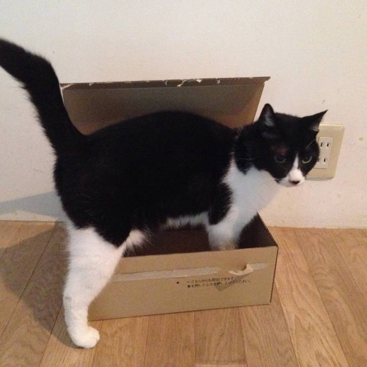 Ecb4282a 1c95 4b0f 9a52 c9294b8dafa3