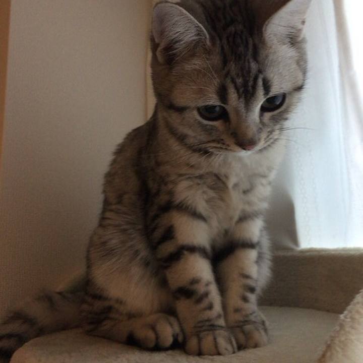 Ecb4bcde 0696 4652 b8c7 a26ef7d69256