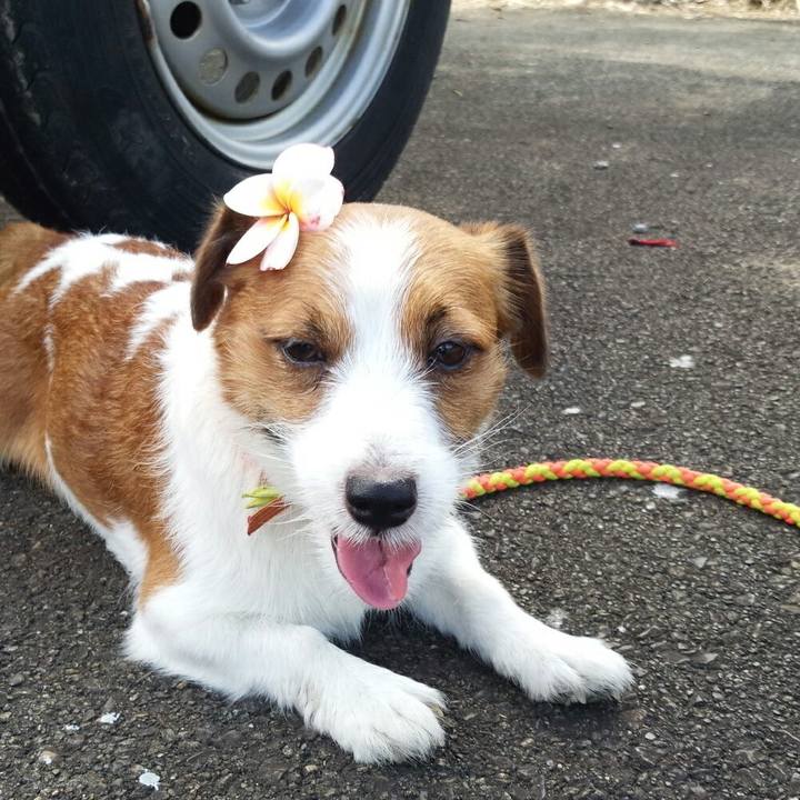 Ecb594df b735 4d7d bc6a c307d4553fc2