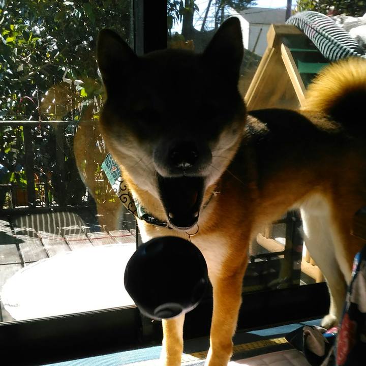 Ecb5ad33 d57c 4993 8722 028a1f1e62aa