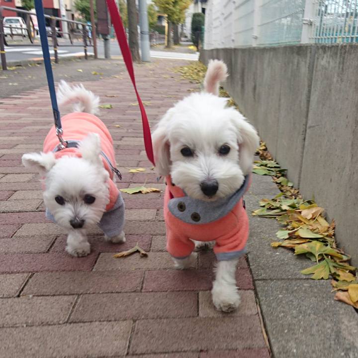 Ecb63bf3 5fa9 431e b52d 3bb7eed3ba67