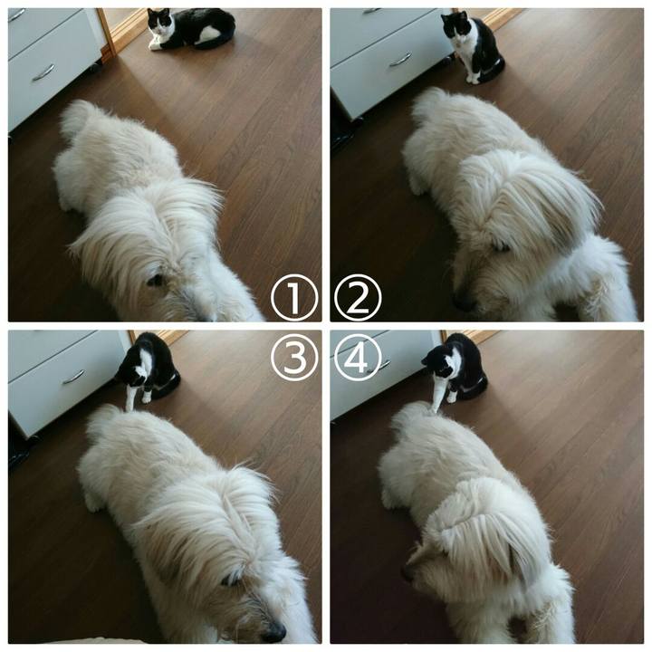 Ecb68720 75ef 4cd9 9012 30306efbb77a