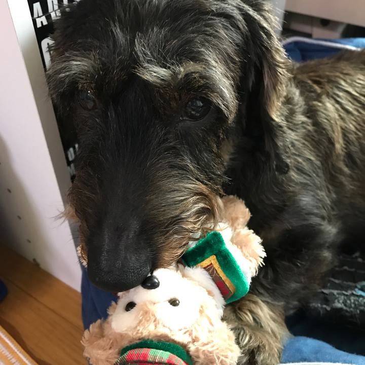 Ecb7322c 3eac 4985 97ff eddbbe90e83e