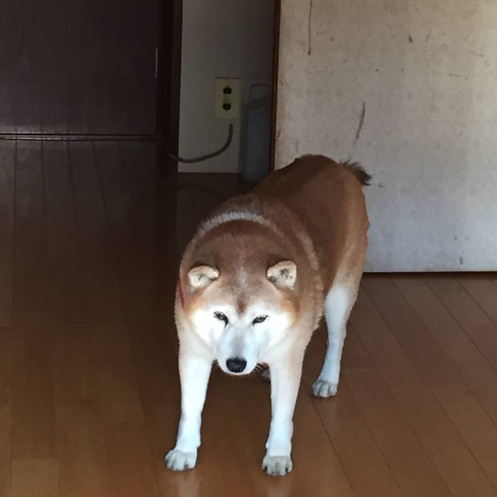 Ecb7d255 d7f7 45ad bb8e 4dca9fb19800