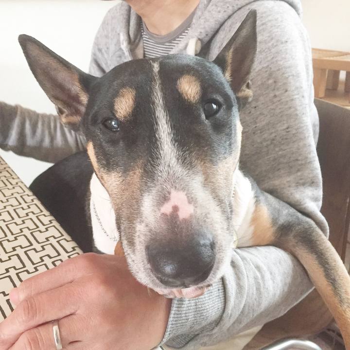 Ecb91971 b70d 47be 826a cb46b7aa80bc