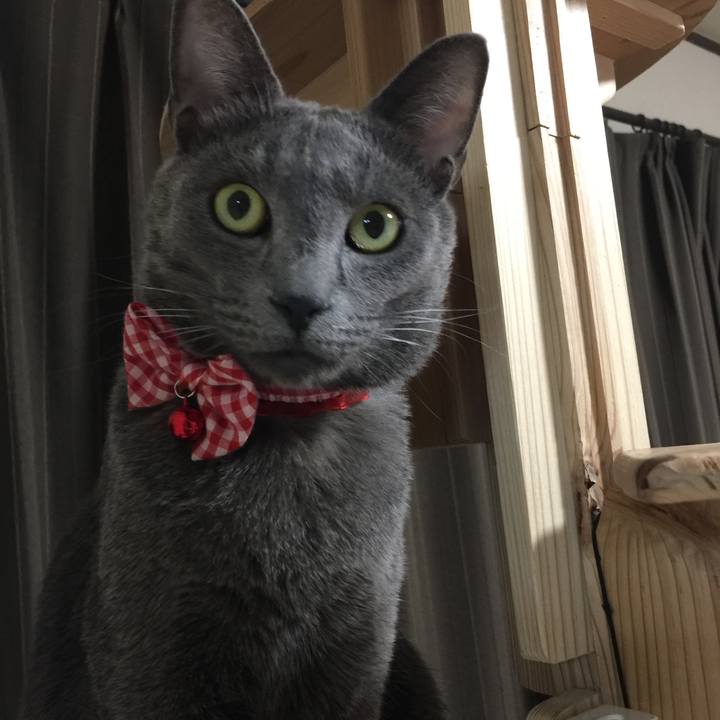 Ecba25d4 6dd6 429e 87ab 07c0733f5af5