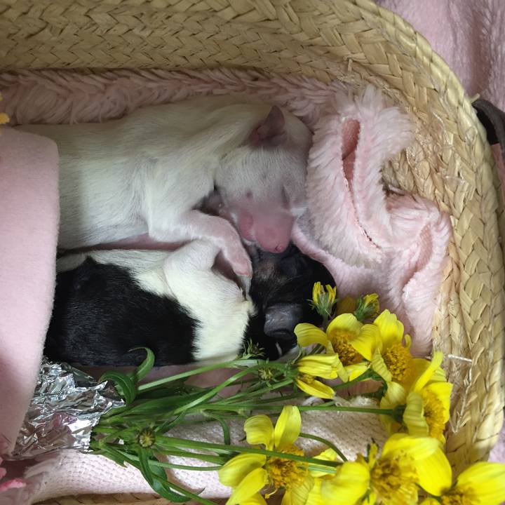 Ecbaf5de bbfb 431e a402 d9ed422ff57e