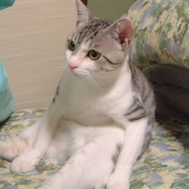 Ecbb4d4d 39c1 4faa 9d0b e9d8c4bd2d05