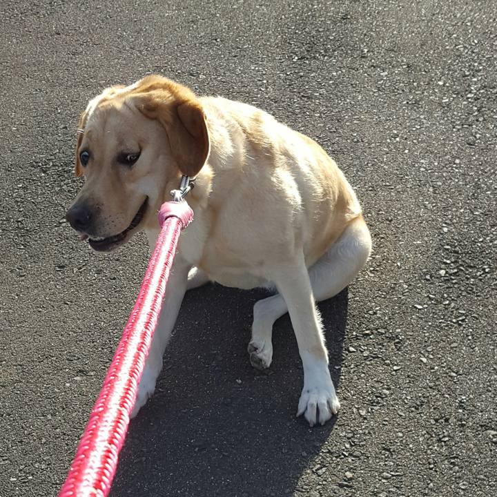 Ecbbd379 1480 4ef2 9339 1c2cab3c62e3