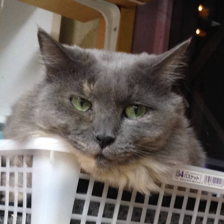 Ecbcbe1b f91f 4e6d a6c1 fbfe1097c56a