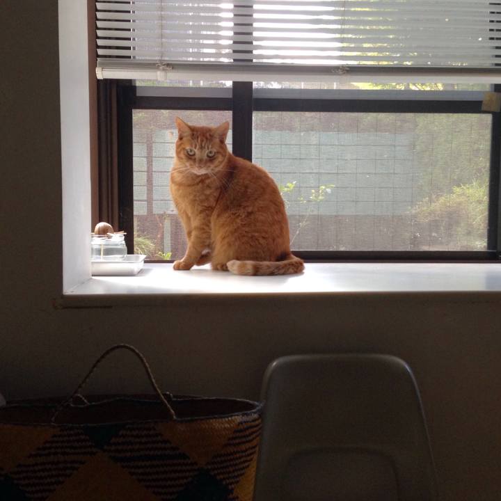 Ecbd4e57 6270 450c b859 d6f80f12a64d