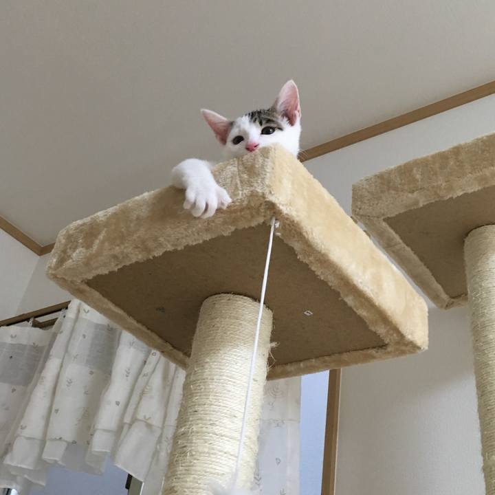 Ecbdcf34 a427 4888 9bcb 61b777a0dd40