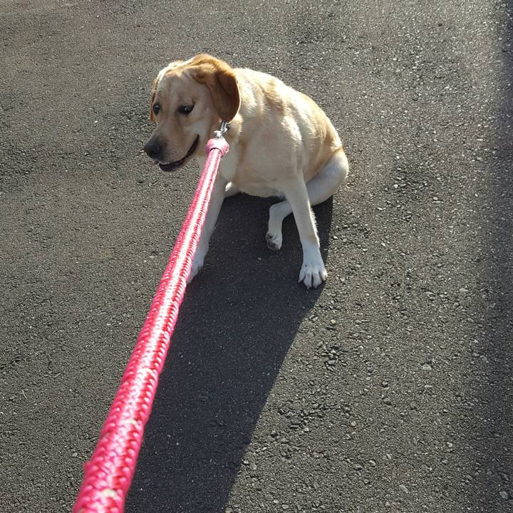 Ecbde9d4 d5ad 4f8f b569 2878f4bdcb24