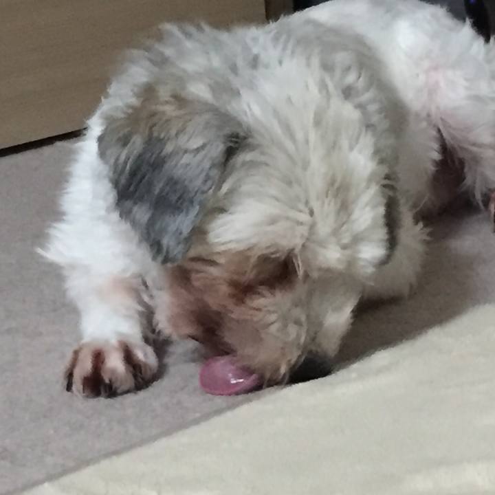 Ecbe01fc cefe 4b13 a535 abc7f0847b6b